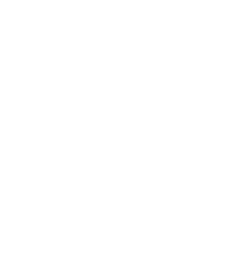 Logo Elektricien Antwerpen | STEVIN